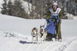 Kandersteg 2013